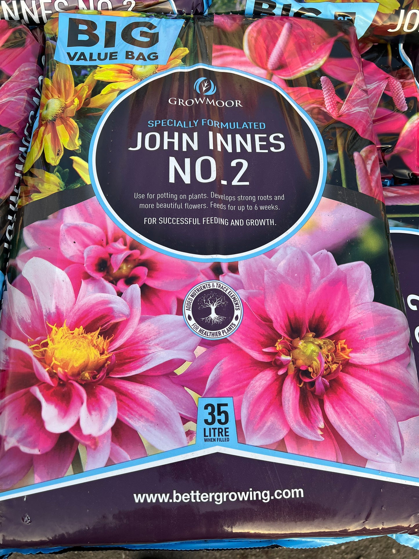 John Innes No2