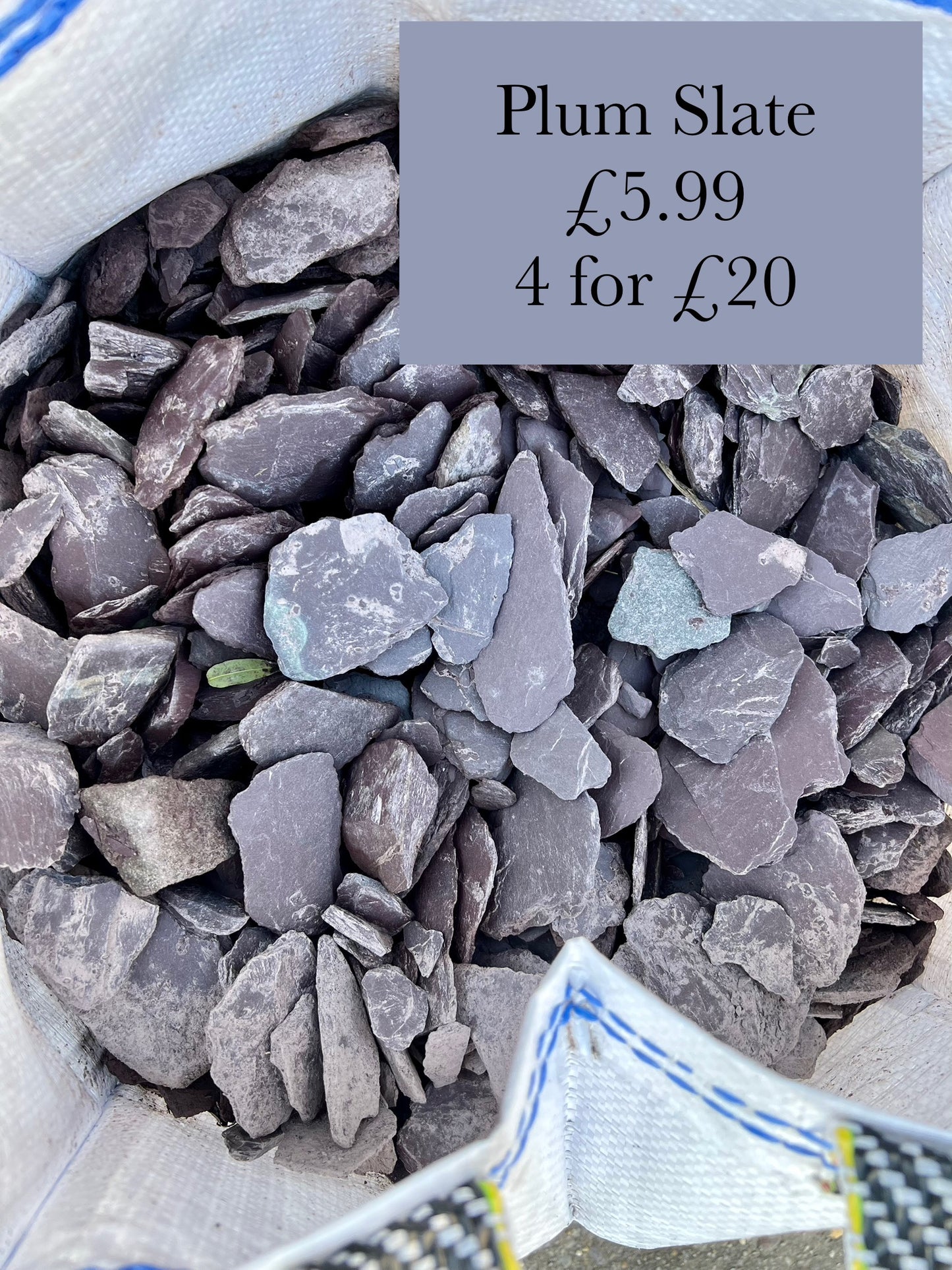Plum Slate 4 for £20