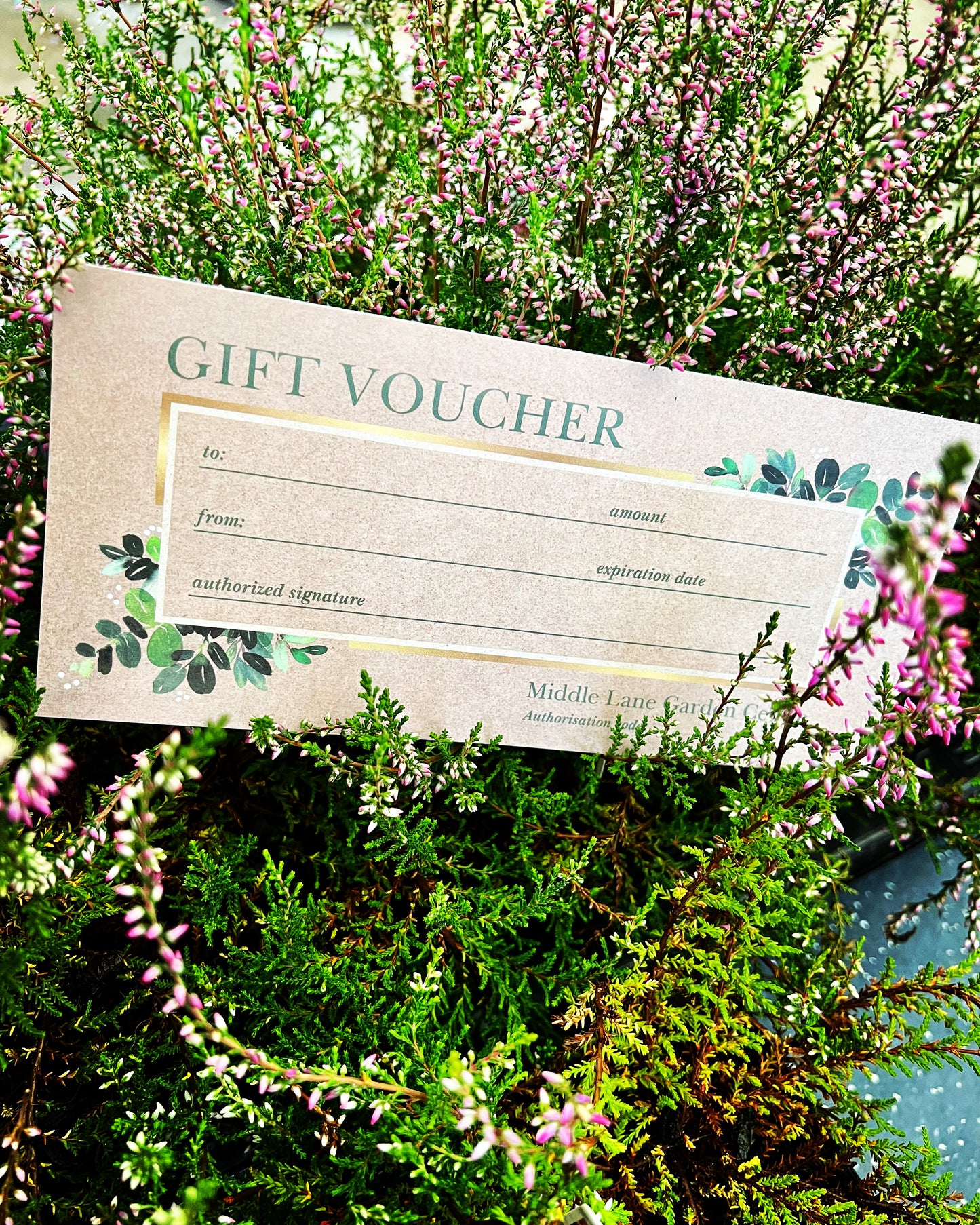 Gift Voucher £10