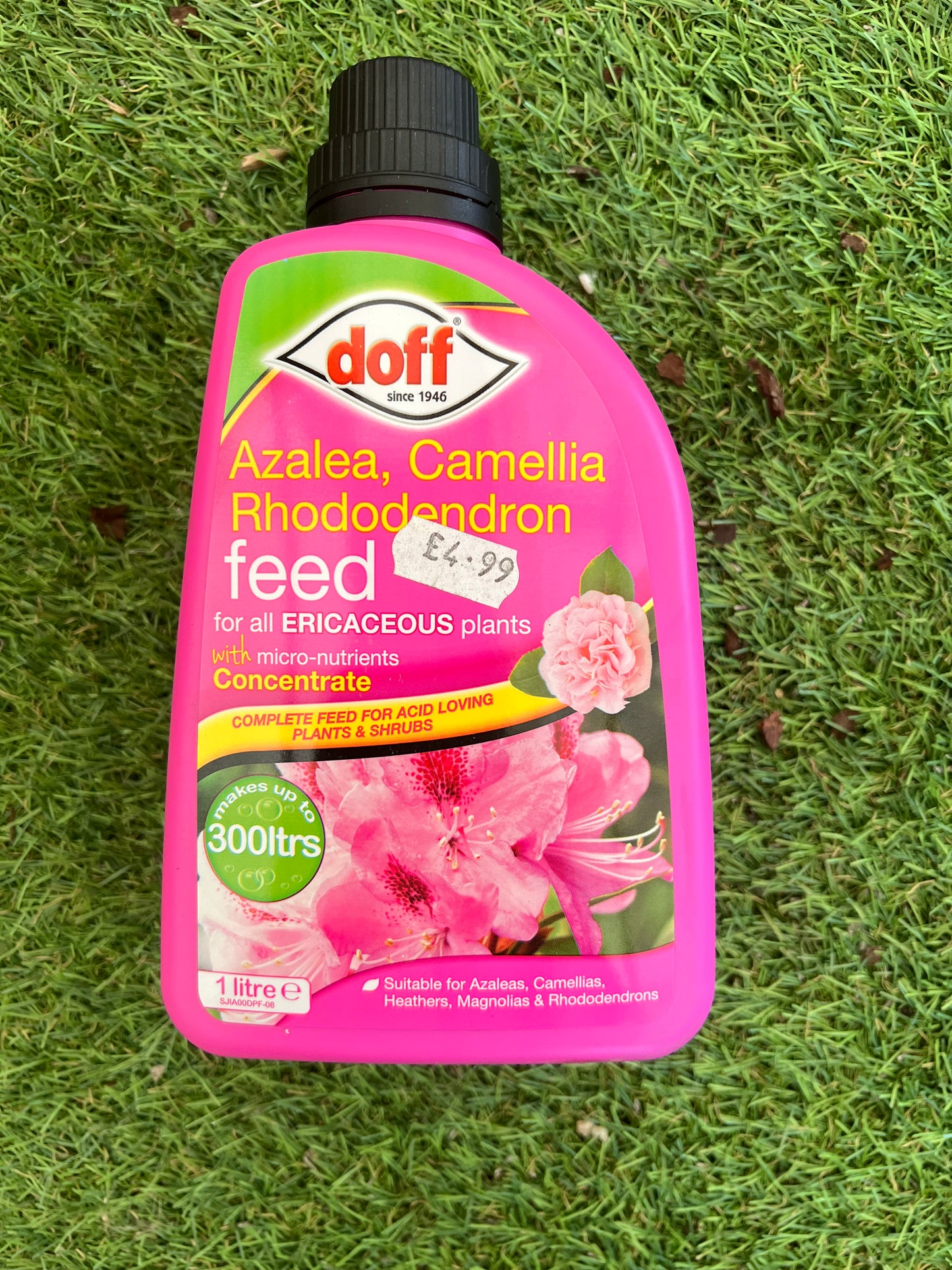 Azalea, Camellia & Rhododendron Feed 1L